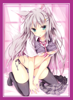 s_2015b.png